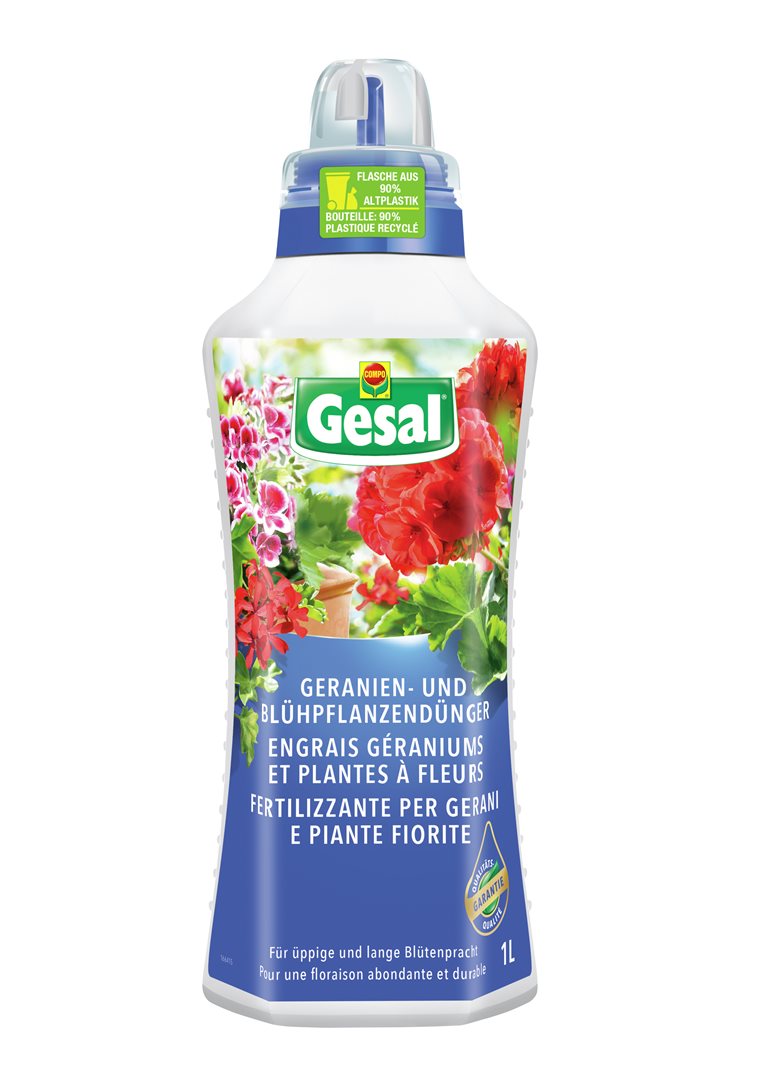 GESAL Dünger Geranien Blühpflanzen