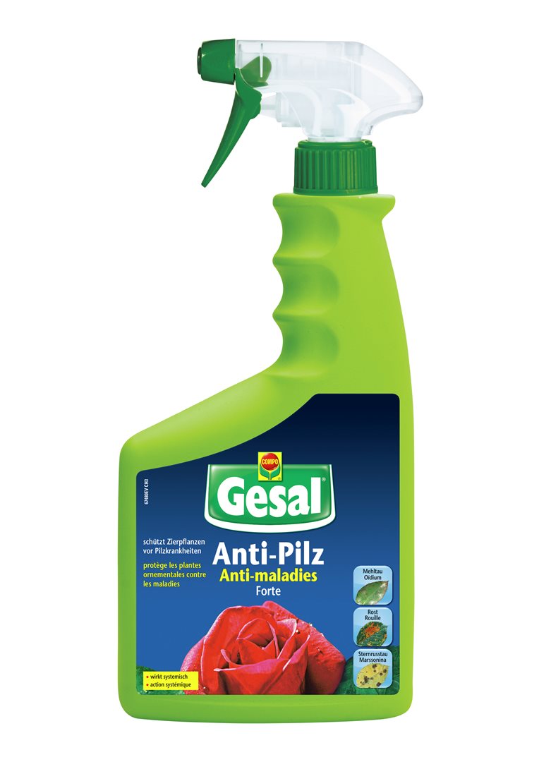 GESAL Anti-Pilz FORTE