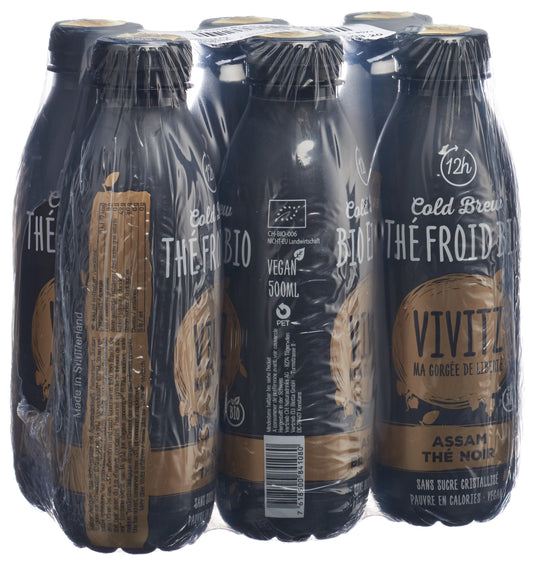 VIVITZ Bio Eistee Cold Brew Bla Tea