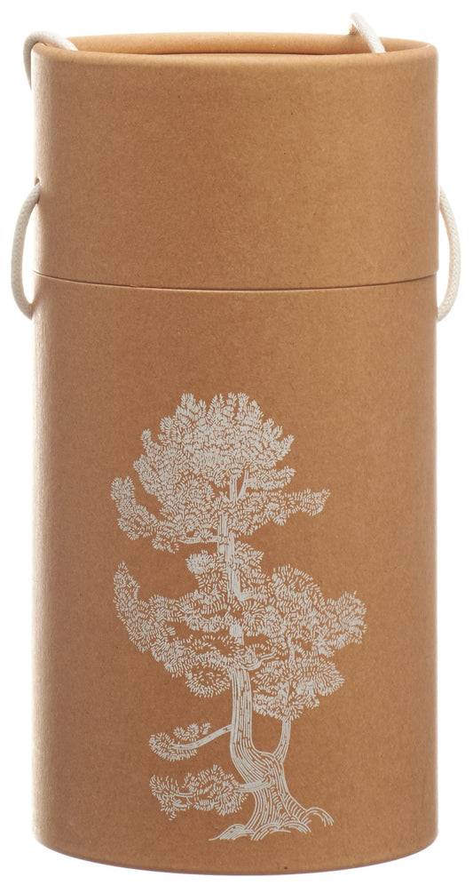 BERG&KRAFT Pinus Cemb Duftho Pine m äth Öl&Späne
