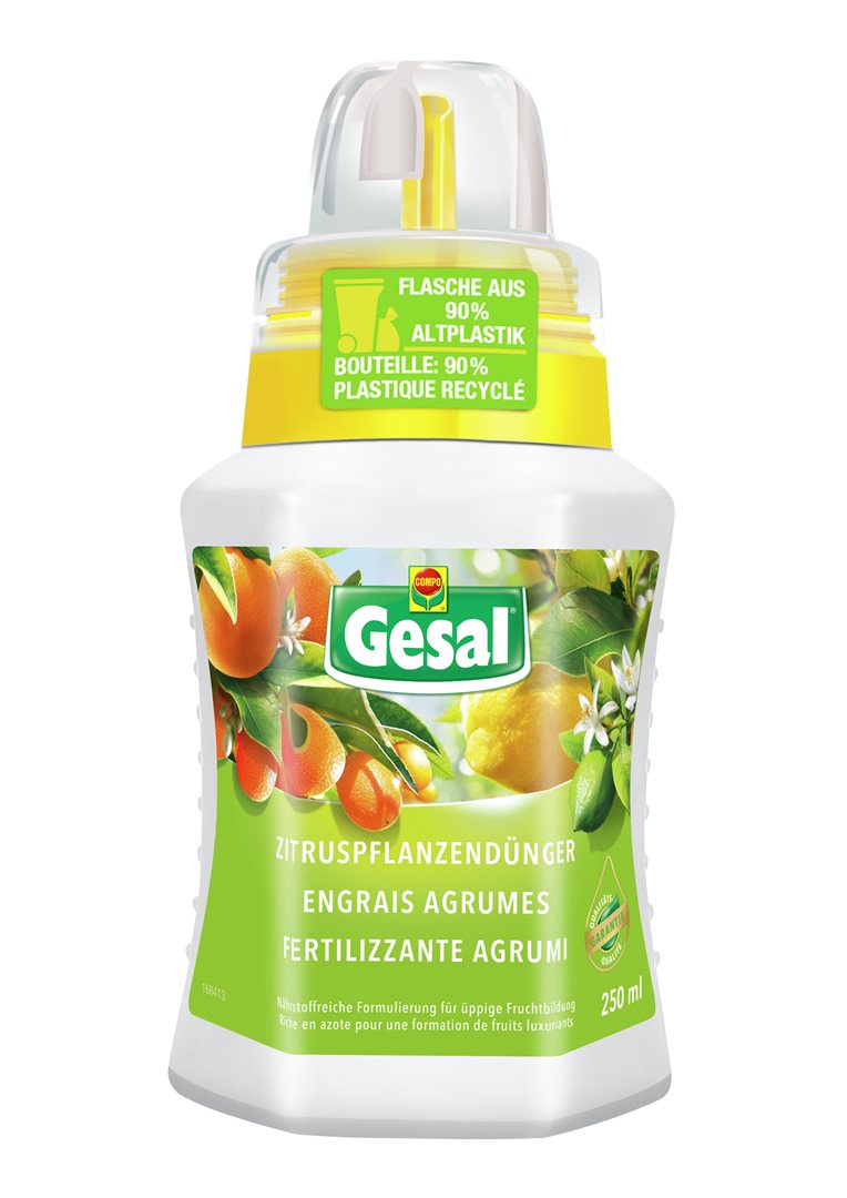 GESAL Zitruspflanzendünger