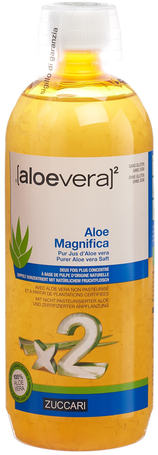 ZUCCARI Aloe Magnifica