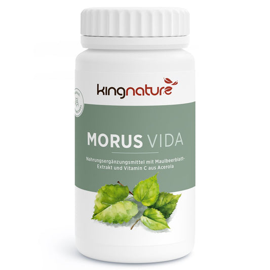 KINGNATURE MORUS Vida Kaps