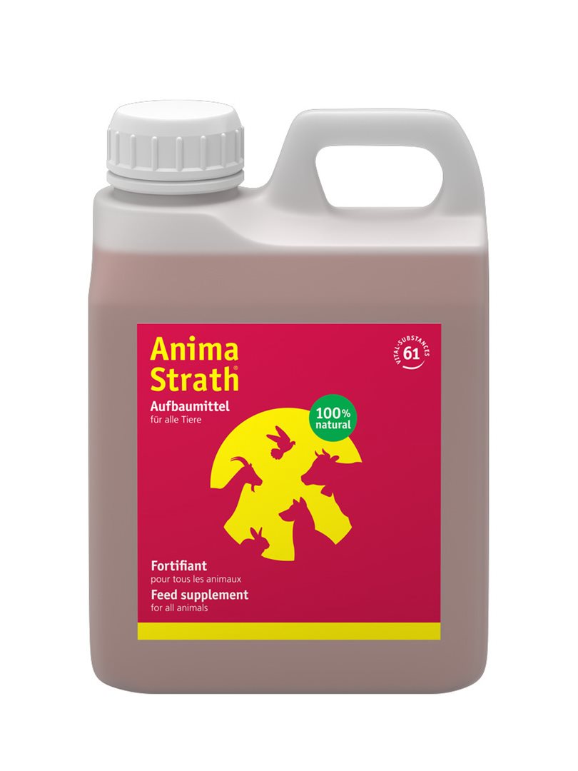 ANIMA STRATH liq