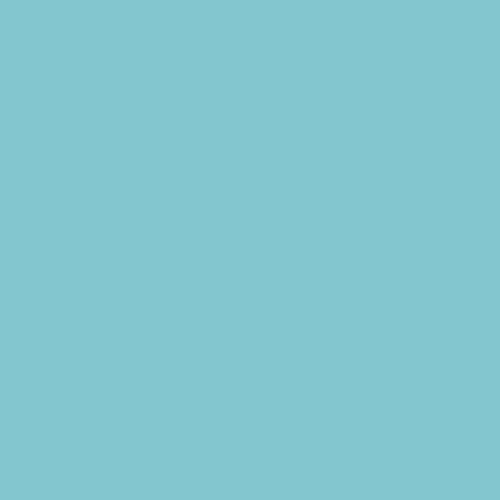 ELSA Kissenbezug 50x9cm Velours hellblau