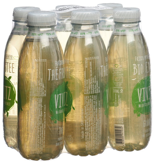 VIVITZ Bio Eistee Grüntee