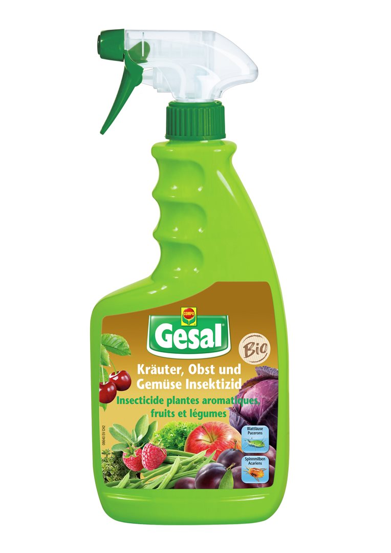 GESAL Insektizid Kräuter Obst Gemüse